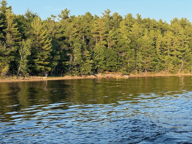 Shoreline image from my recent vacation on Georgian Bay